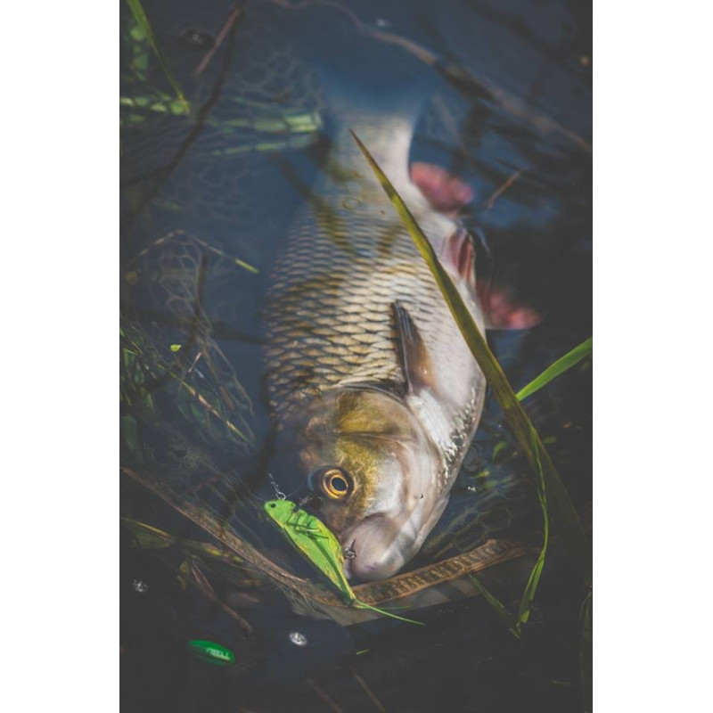 Wobler Imago Lures HOPPER 4.5F GN