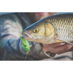 Wobler Imago Lures HOPPER 4.5F GN