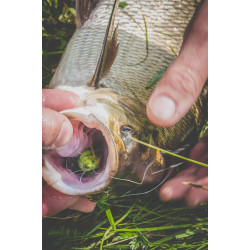 Wobler Imago Lures HOPPER 4.5F GN