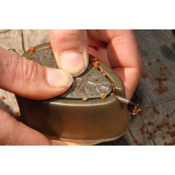 Forma do koszyków Avid Method Feeder Mould - Large