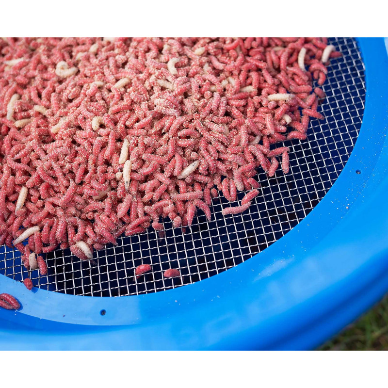 Sito Preston Riddle - 4mm