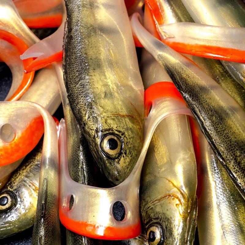 Angry Lures Perch G-Tail 15cm - N