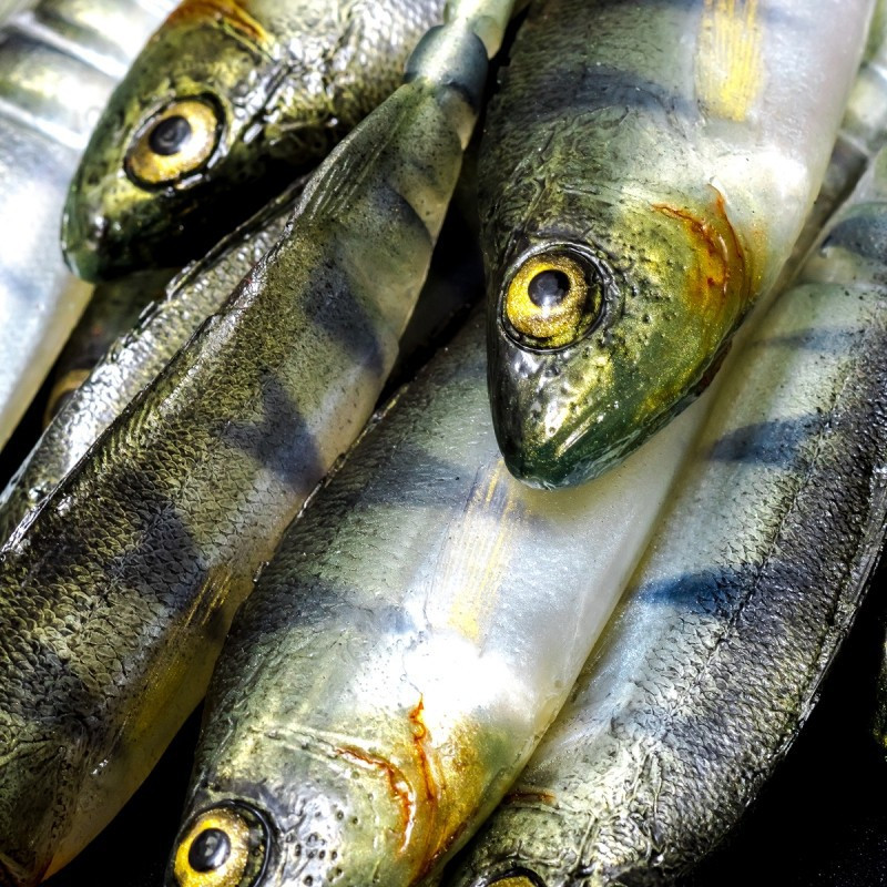 Angry Perch Multi Jointed 13.5cm - N