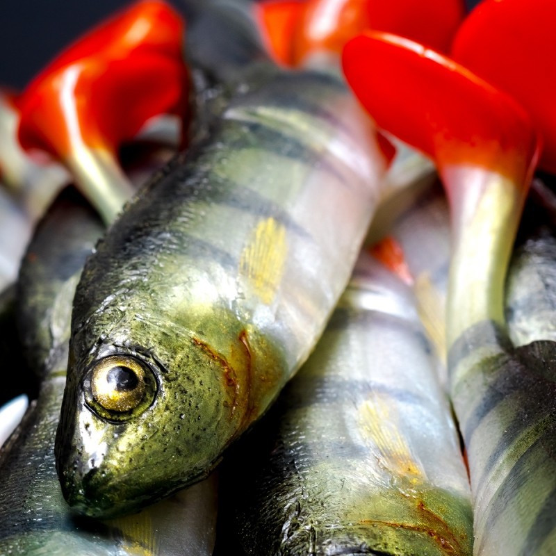 Angry Perch Jointed 13.5cm - N