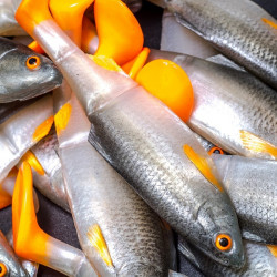 Angry Roach Jointed 12.5cm - NOO