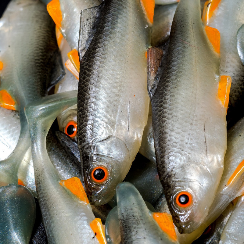 Angry Roach 9.0cm - NOO