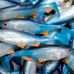 Angry Roach 9.0cm - NBO