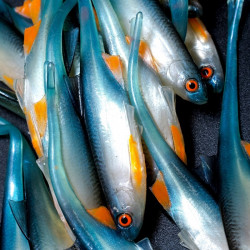 Angry Bleak V-Tail 11.5cm - NBO