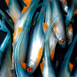 Angry Bleak V-Tail 11.5cm - NBO