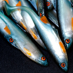 Angry Bleak 10.0cm - NBO