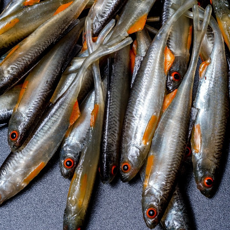 Angry Bleak V-Tail 7.0cm - NOO