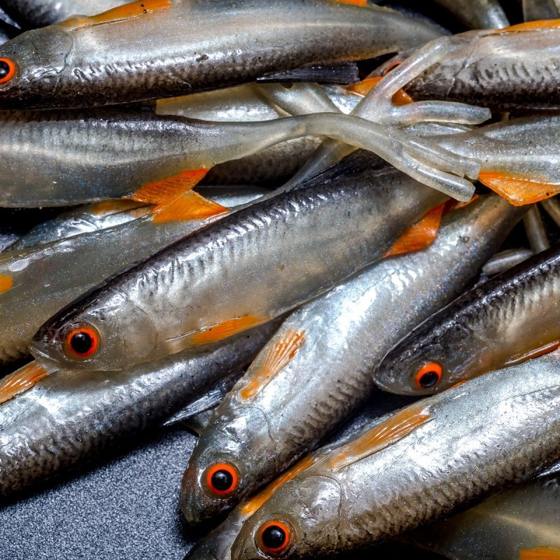 Angry Bleak V-Tail 7.0cm - NOO