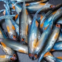 Angry Bleak V-Tail 7.0cm - NBO