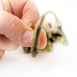 Angry Chub 7.0cm - NOO