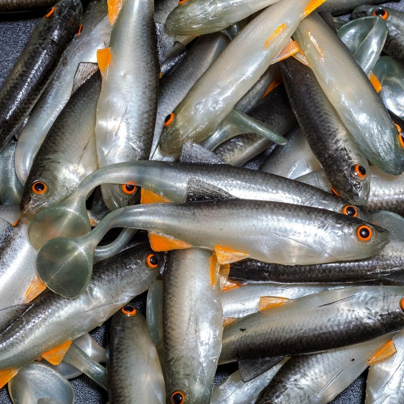 Angry Chub 7.0cm - NOO