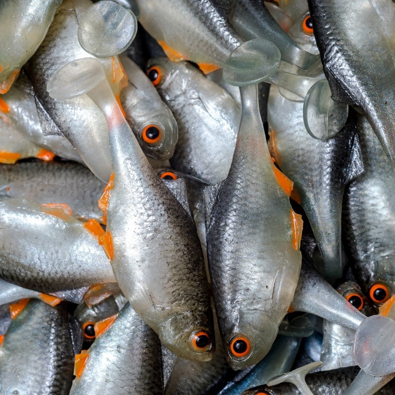 Angry Bitterling 5.0cm - NOO