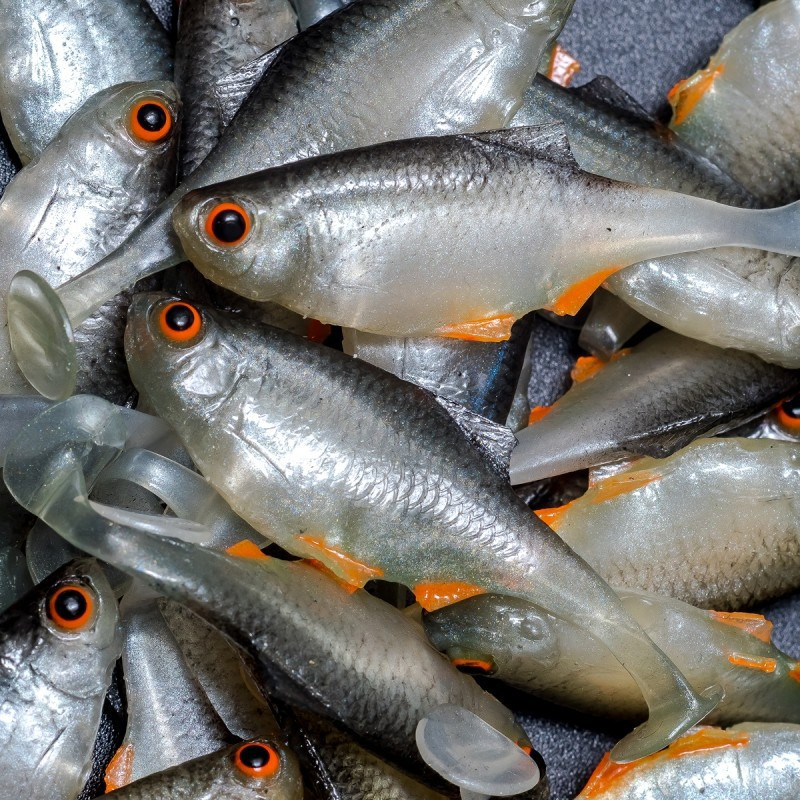 Angry Bitterling 5.0cm - NOO