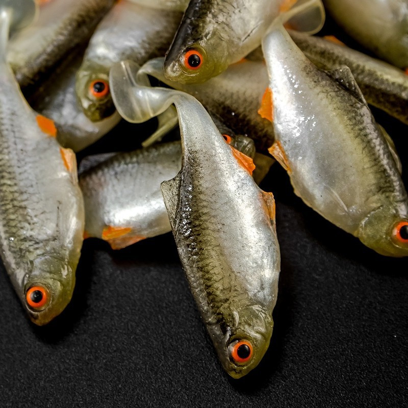 Angry Bitterling 5.0cm - NOO