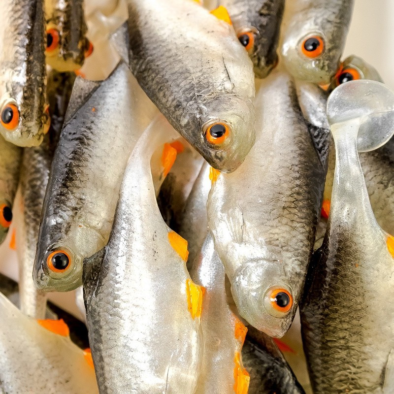 Angry Bitterling 5.0cm - NOO