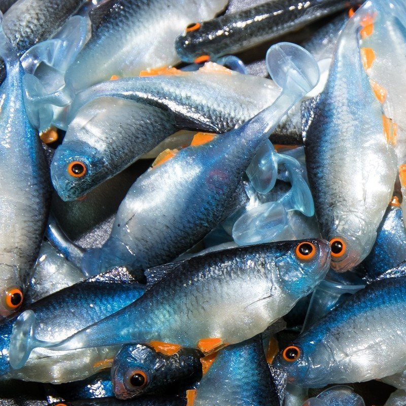 Angry Bitterling 5.0cm - NBO