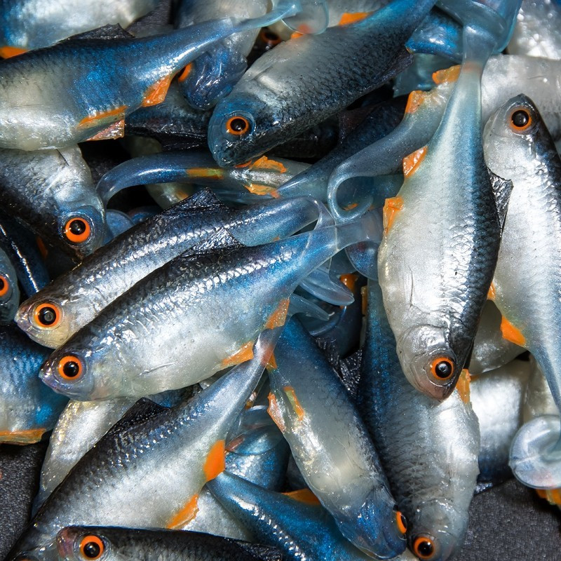 Angry Bitterling 5.0cm - NBO