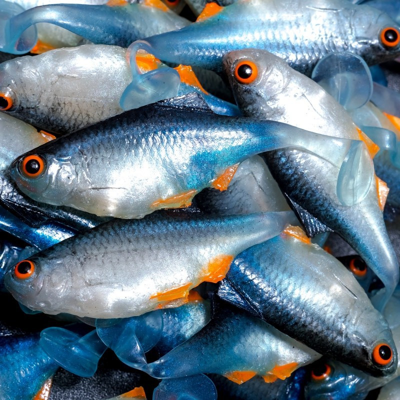 Angry Bitterling 5.0cm - NBO