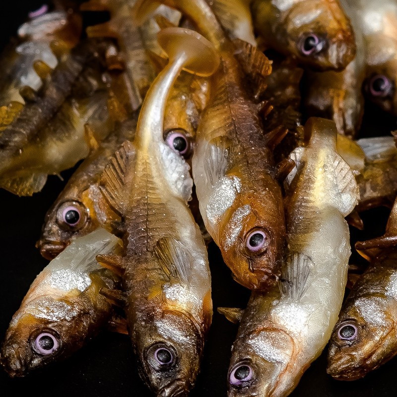 Angry Stickleback 6.0cm - DB