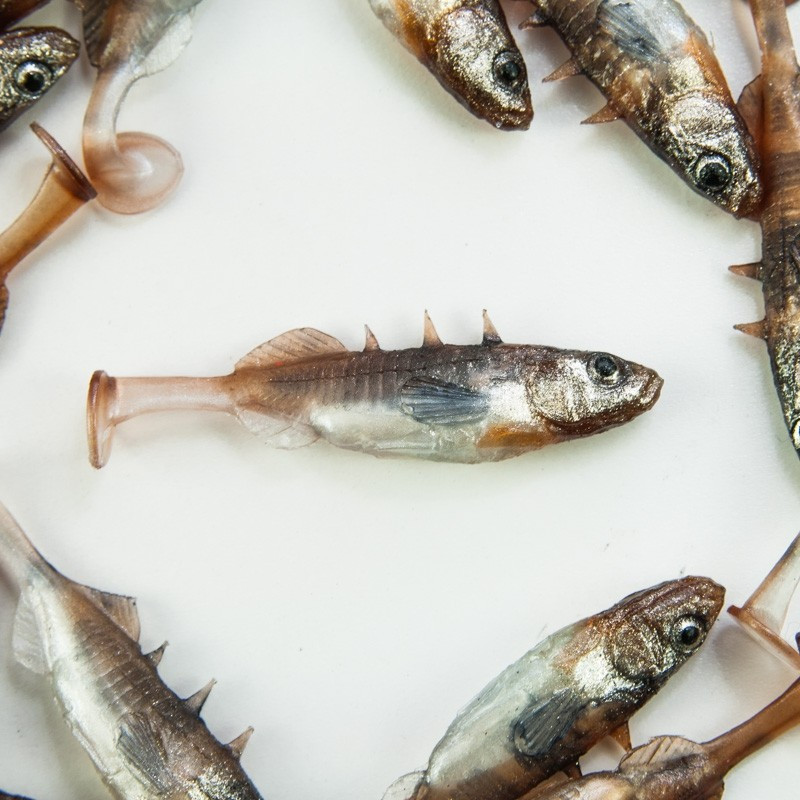 Angry Stickleback 6.0cm - DB