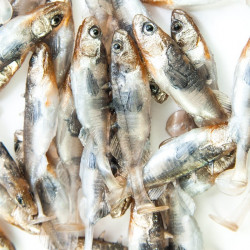 Angry Stickleback 6.0cm - N