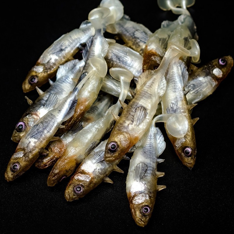 Angry Stickleback 6.0cm - N