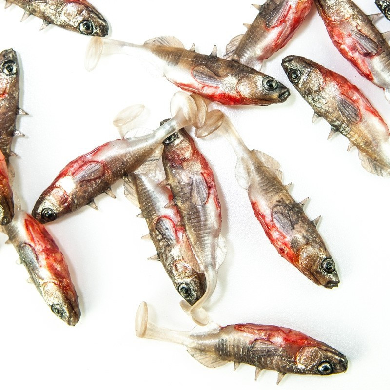 Angry Stickleback 6.0cm - NS