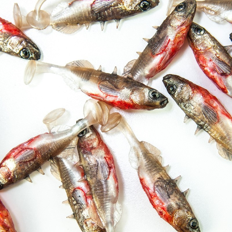 Angry Stickleback 6.0cm - NS