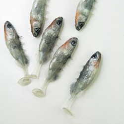 Angry Stickleback 6.0cm - S