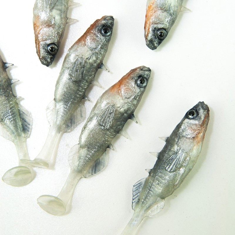 Angry Stickleback 6.0cm - S