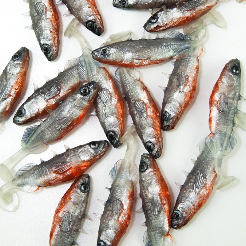 Angry Stickleback 6.0cm - SS