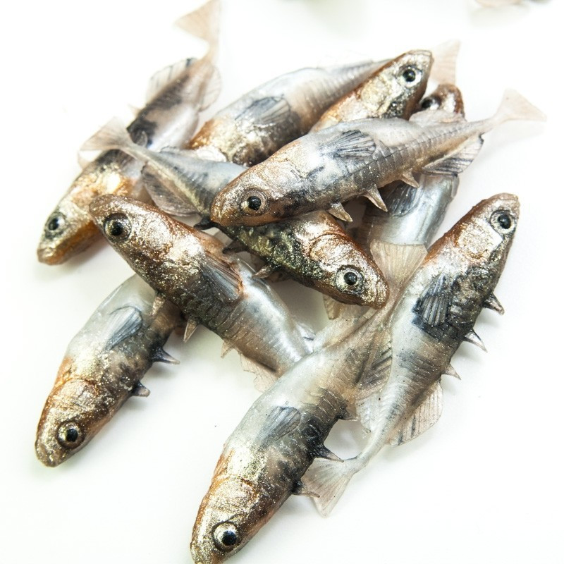 Angry Stickleback F-Tail 6.0cm - N