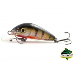 Wobler Hunter - CHAMPION 4.2cm RP