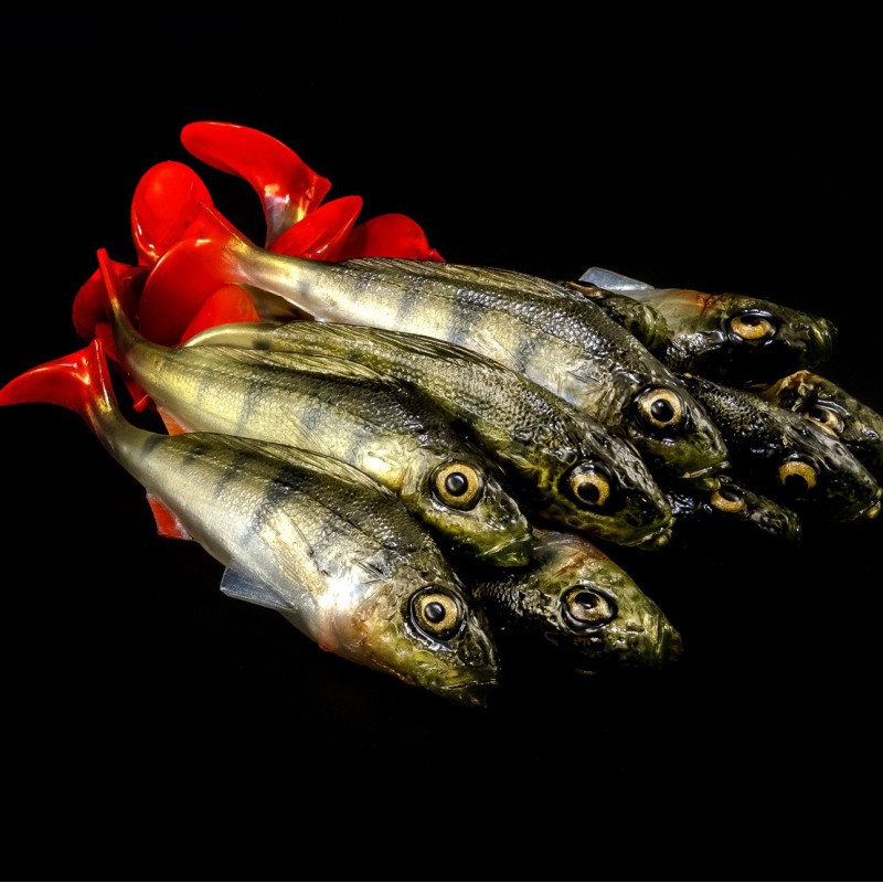 Angry Ruffe 10.0cm - PCH