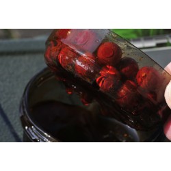 Pojemnik do dipowania Korda Infuza - Large