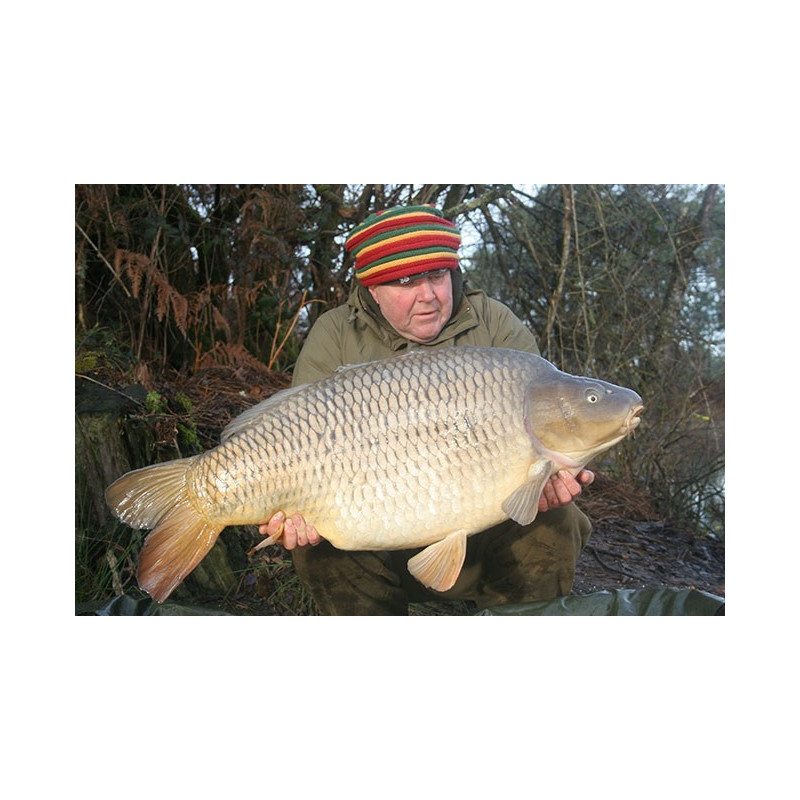 Haczyki Korda Kurv Shank XX