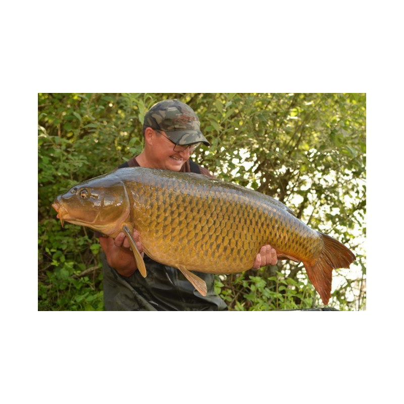 Żyłka Korda TouchDown 1000m GREEN