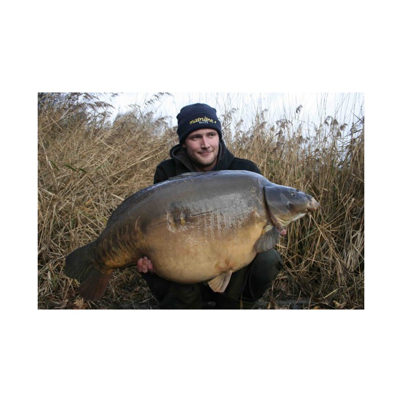 Żyłka Korda Subline 1000m GREEN - 0.30mm // 10lb