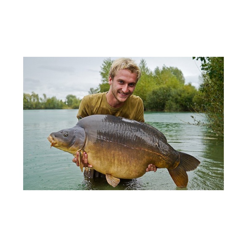 Przypon Korda Krank Rig 19cm