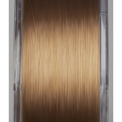Żyłka Prologic Density Carp Mono 1000m BROWN
