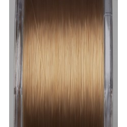 Żyłka Prologic Density Carp Mono 1000m BROWN