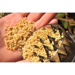 Kruszarka Korda Krusha - Large // Duża