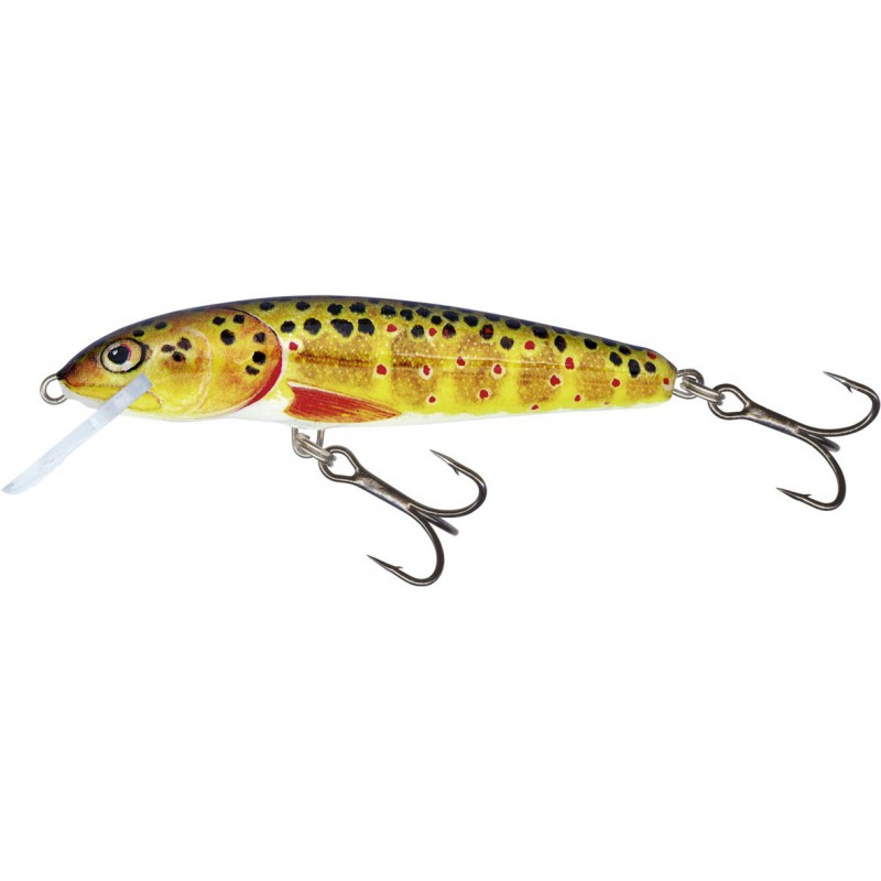 Wobler Salmo Minnow 5,0cm Floating - T / Trout