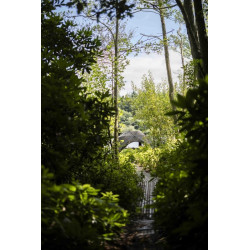 Namiot Avid Dual Layer Brolly System