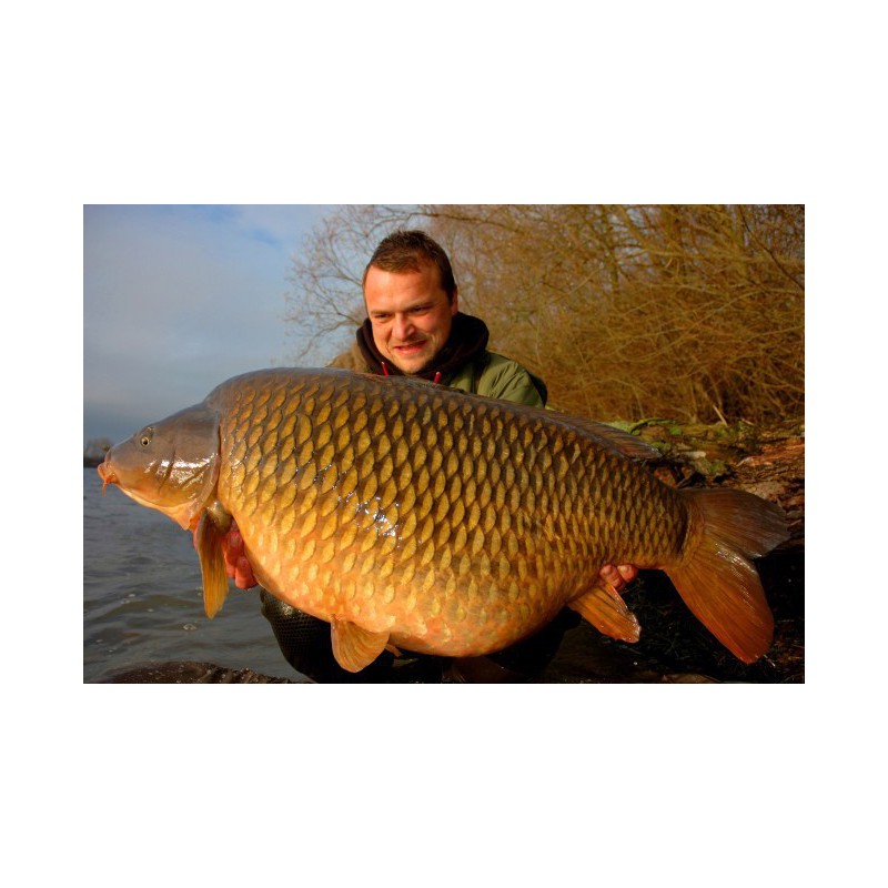 Haczyki Korda Kontinental - roz. 8