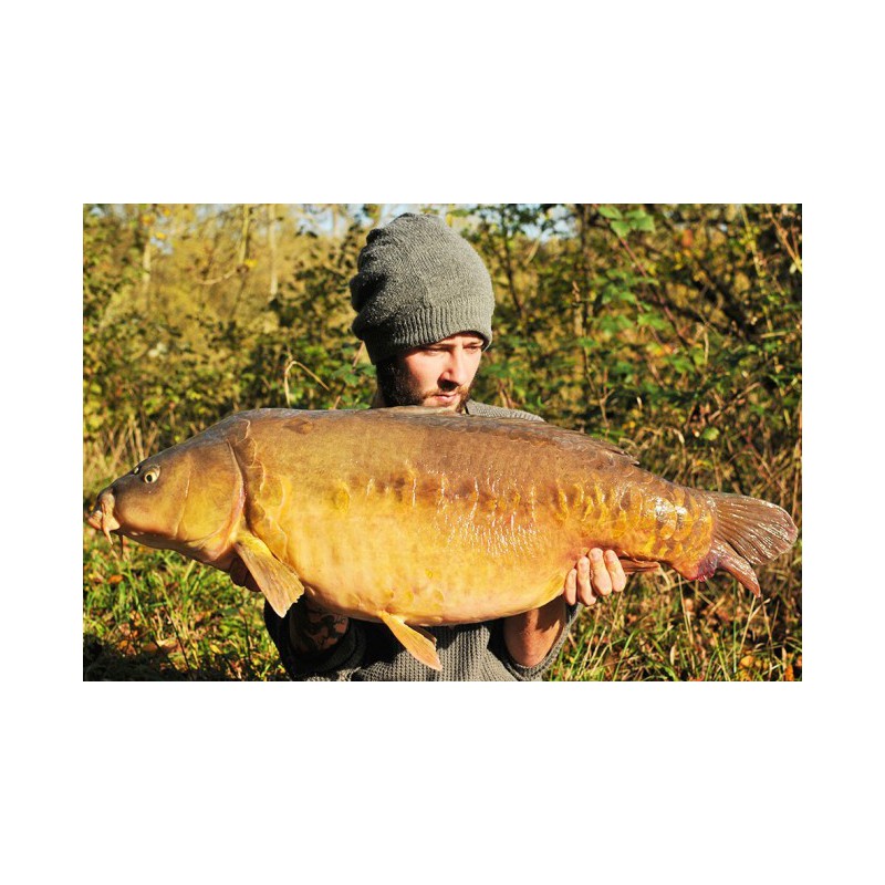 Haczyki Korda Kontinental - roz. 10